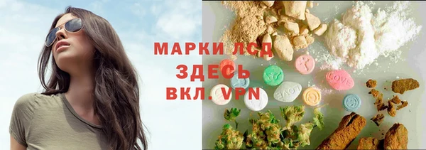 индика Богородицк