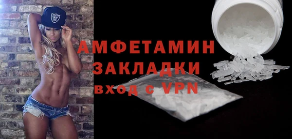 индика Богородицк