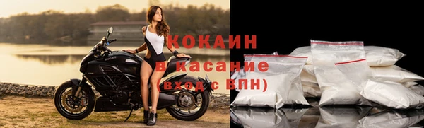 индика Богородицк