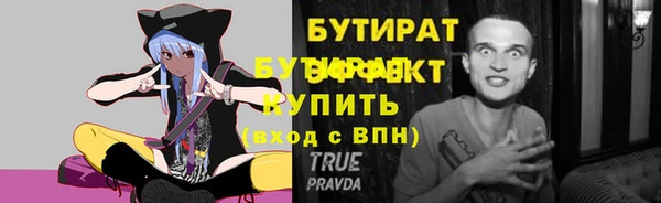индика Богородицк
