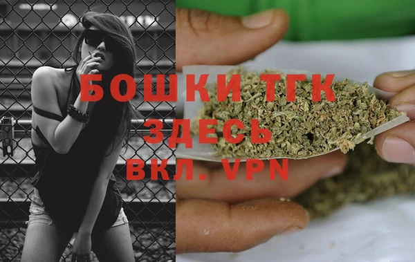 индика Богородицк