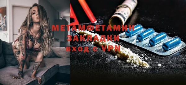 индика Богородицк
