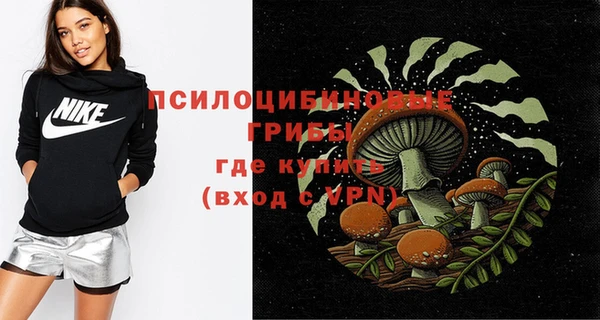 сатива Бугульма