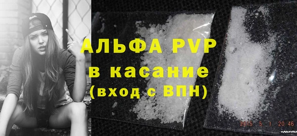индика Богородицк
