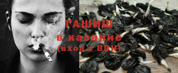 сатива Бугульма
