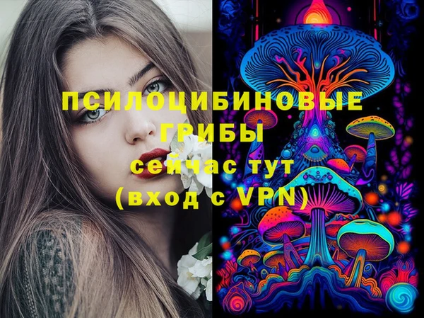 сатива Бугульма