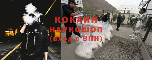 сатива Бугульма