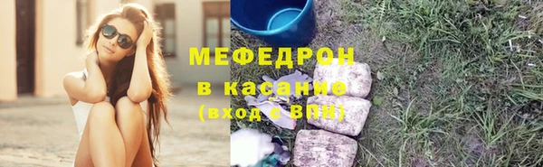 индика Богородицк