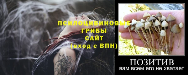 индика Богородицк