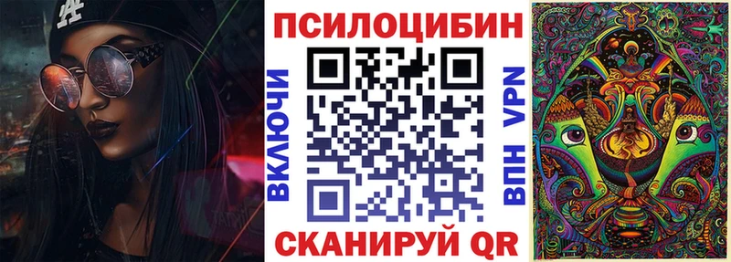 Псилоцибиновые грибы GOLDEN TEACHER  наркота  Шилка 